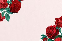 Red rose border, vintage illustration