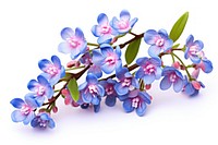 Flower blossom orchid plant. AI generated Image by rawpixel.
