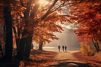 Autumn outdoors nature light. 