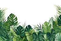 Jungle leaves backgrounds vegetation outdoors. 