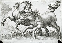 Two Horses Fighting by Hendrik Hondius I and Antonio Tempesta