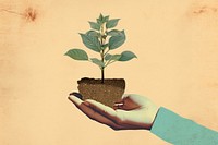 Plant planting holding nature. AI generated Image by rawpixel.