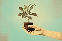 Plant gardening holding nature. AI generated Image by rawpixel.