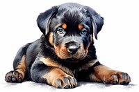 Puppy rottweiler mammal animal. AI generated Image by rawpixel.