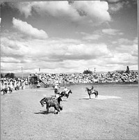 Molalla Buckeroo. Molalla, Oregon. Sourced from the Library of Congress.