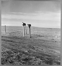 The rolling lands used for grazing near Mills, New Mexico. Sourced from the Library of Congress.