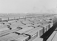 Chicago, Illinois. Stock cars in a Chicago and Northwestern Railroad classification yard. Sourced from the Library of Congress.