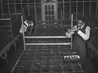 Tuskegee Institute, Alabama. Students in the greenhouse. Sourced from the Library of Congress.