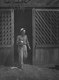 Lauderdale County, Alabama. Tennessee Valley Authority (TVA). Julien H. Case using a portable electric motor for his farm chores. Sourced from the Library of Congress.