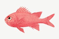 Pink exotic fish, vintage animal illustration by Luigi Balugani psd. Remixed by rawpixel.