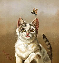 White cat with bee (1876), vintage animal illustration by Harry Beard. Original public domain image from Digital Commonwealth. Digitally enhanced by rawpixel.