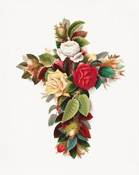 Cross of roses (1861&ndash;1897), vintage flower  illustration by Olive E. Whitney. Original public domain image from Digital Commonwealth. Digitally enhanced by rawpixel.