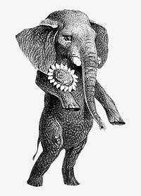 Elephant standing with two feet, vintage animal illustration psd. Remixed by rawpixel.