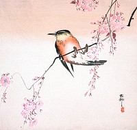 Ohara Shoson's Bird on Weeping Cherry (1900), vintage bird illustration. Original public domain image from The Los Angeles County Museum of Art. Digitally enhanced by rawpixel.