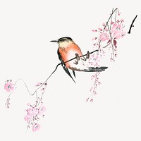 Ohara Shoson's Bird on Weeping Cherry, vintage bird illustration. Remixed by rawpixel.