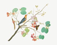 Orange-Headed Ground Thrush, vintage botanical illustration by Shaikh Zain al–Din psd. Remixed by rawpixel.