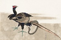 Katsushika Hokusai's Pheasant and Snake (18th–19th century), vintage Japanese illustration. Original public domain image from The MET Museum. Digitally enhanced by rawpixel.