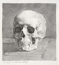 Skull, front view (1839), vintage illustration by Johan Thomas Lundbye. Original public domain image from The Statens Museum for Kunst. Digitally enhanced by rawpixel.