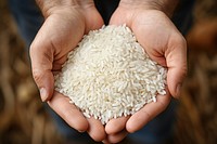 Rice holding food hand. 