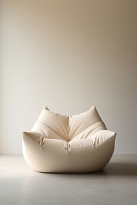 Furniture cushion pillow chair. 