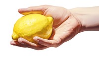 Lemon hand fruit plant. 