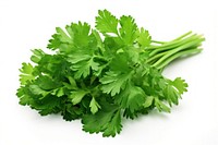 Parsley plant herbs food. AI generated Image by rawpixel.