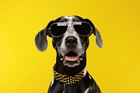 Sunglasses pointer animal mammal. AI generated Image by rawpixel.
