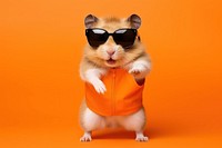 Sunglasses hamster mammal animal. AI generated Image by rawpixel.