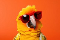 Sunglasses parrot animal bird. AI generated Image by rawpixel.