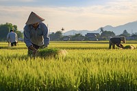 Agriculture outdoors farm countryside. AI generated Image by rawpixel.