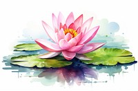 Flower floating plant lily. AI generated Image by rawpixel.