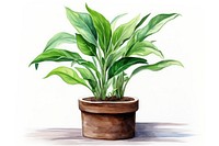 Plant leaf houseplant freshness. 