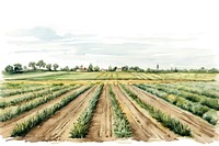 Agriculture field landscape outdoors. 