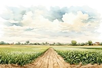 Agriculture field landscape outdoors. 