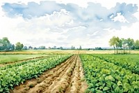 Agriculture field landscape outdoors. 