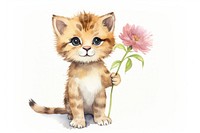 Flower mammal animal kitten. 