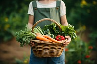 Vegetable gardening outdoors organic. 