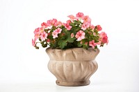 Flower plant vase white background. AI generated Image by rawpixel.