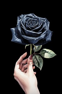 Rose holding flower plant. AI generated Image by rawpixel.