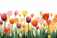 Tulip backgrounds outdoors flower. 