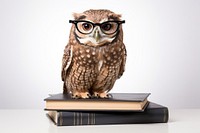 Glasses book owl publication. AI generated Image by rawpixel.