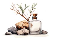 Perfume bottle plant container. AI generated Image by rawpixel.