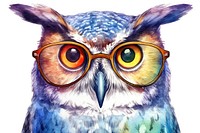 Glasses animal bird owl. AI generated Image by rawpixel.