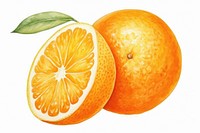 Grapefruit orange lemon plant. AI generated Image by rawpixel.