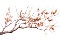 Branch sketch plant leaf. AI generated Image by rawpixel.