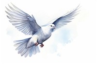 Animal bird dove wildlife. AI generated Image by rawpixel.