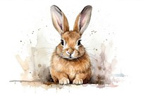 Animal rodent mammal rabbit. AI generated Image by rawpixel.