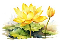 Flower yellow plant lily. AI generated Image by rawpixel.