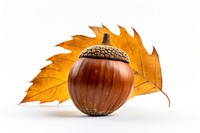 Vegetable plant acorn food. AI generated Image by rawpixel.