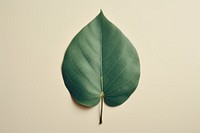 Leaf plant green tree. AI generated Image by rawpixel.